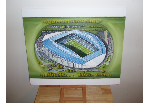 Amex Stadium Fine Art Original Oil Painting - Brighton & Hove Albion FC